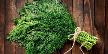 یک کارشناس گیاهان دارویی مطرح کرد: گیاهی شگفت‌انگیز در سبد غذایی ما