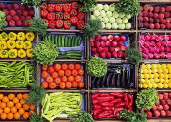 برداشت و بسته‌بندی علوفه با تجهیزات «ایران‌ساخت» ممکن شد