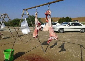 رییس اتحادیه فروشندگان گوشت اهواز تاکید کرد لزوم برخورد با کشتار غیرمجاز و کنار جاده‌ای دام‌ در اهواز