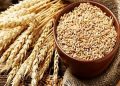 صادرات غلات اوکراین از طریق راه‌آهن انجام می‌شود