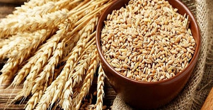 صادرات غلات اوکراین از طریق راه‌آهن انجام می‌شود