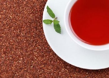 فواید چای ریبوس چیست؟