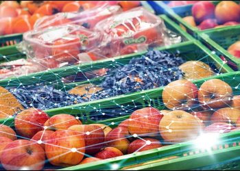 دبیرخانه دائمی امنیت غذایی در پارک فناوری پردیس تشکیل شد