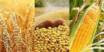 افزایش جهانی قیمت مواد غذایی رکورد شکست