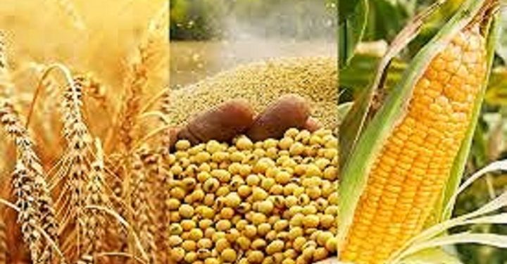 افزایش جهانی قیمت مواد غذایی رکورد شکست