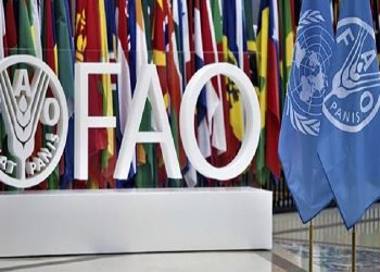 فائو اعلام کرد:جایگاه مهم ایران در تولید 20 محصول کشاورزی در جهان