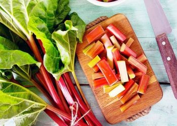 به این قسمت از ریواس لب نزنید