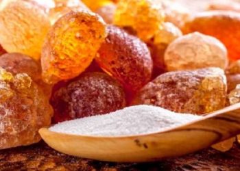 منفی شدن تراز تجاری کشور در پرمصرف‌ترین اقلام صنایع غذایی/اجرای ۱۱ طرح تحقیقاتی در حوزه صمغ‌