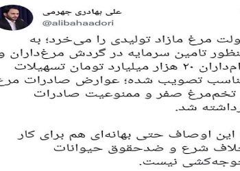 سخنگوی دولت در توییتر نوشت: ممنوعیت صادرات تخم‌مرغ برداشته شد، جوجه‌کُشی نکنید