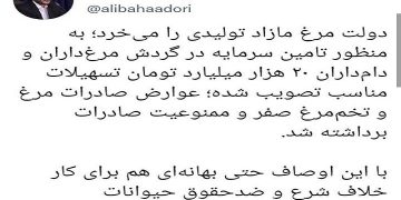 سخنگوی دولت در توییتر نوشت: ممنوعیت صادرات تخم‌مرغ برداشته شد، جوجه‌کُشی نکنید