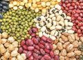 افزایش ۷۰ تا ۱۲۰ درصدی قیمت حبوبات/ واردات حبوبات هم مشمول مالیات بر ارزش افزوده شد