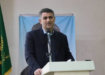 مشاور وزیر جهاد کشاورزی: مسیر صادرات جوجه یکروزه هموار شده است