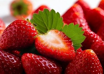 فواید خوردن توت فرنگی