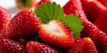 فواید خوردن توت فرنگی