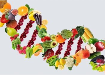 ژن‌ تعیین‌کننده انتخاب مواد غذایی خاص است؟