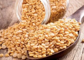 در دانمارک؛ لپه به پنیر تبدیل می شود!