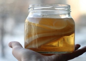 در موسسه پژوهشی علوم و صنایع غذایی؛  تولید نوشیدنی کامبوجا با میکروارگانیسم‌های بومی میسر شد