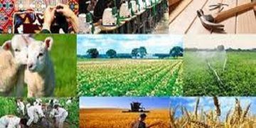 معاون توسعه روستایی و مناطق محروم کشور: اقتصاد روستا می‌تواند مشکل امنیت غذایی را حل کند