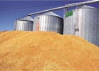 تکلیف گندم سیلوی تخریب‌شده حمیدیه چه می‌شود؟