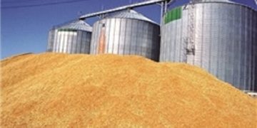 تکلیف گندم سیلوی تخریب‌شده حمیدیه چه می‌شود؟