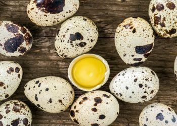فواید تخم بلدرچین؛ از درمان اختلالات کلیه تا تقویت استخوان‌ها