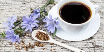عوارض غیرمنتظره دمنوش کاسنی برای مبتلایان به کبد چرب