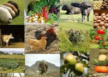 مطالبه بخش کشاورزی استان مرکزی از رئیس جمهور؛ از تجهیزاتی که به روز نیست تا بیمه‌ای که بر زمین ماند