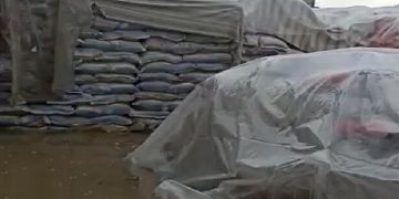 گمرک اعلام کرد: آبگرفتگی محموله های برنج در گمرک/از پارسال هشدار داده بودیم
