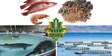 بانک کشاورزی اعلام کرد؛ رشد ۱۰۸ درصدی پرداخت تسهیلات به بخش شیلات و آبزیان