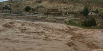 حضور رییس سازمان دامپزشکی در مناطق سیل زده داراب استان فارس