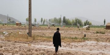 دستور وزیر جهاد کشاورزی برای جبران خسارات کشاورزان از سیل