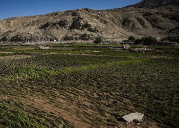 سیل به کشاورزی قم ۹۲۰ میلیارد ریال خسارت زد