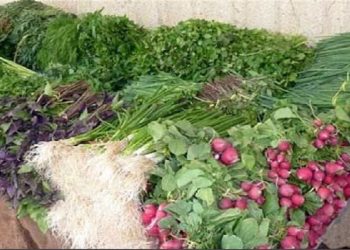 فروش اینترنتی سبزی با قیمت های عجیب و غریب ؛ یک کیلو سبزی خوردن ۱۵۵ هزار تومان | عرضه سبزی خشک‌ به قیمت گوشت!