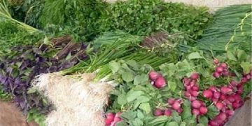 فروش اینترنتی سبزی با قیمت های عجیب و غریب ؛ یک کیلو سبزی خوردن ۱۵۵ هزار تومان | عرضه سبزی خشک‌ به قیمت گوشت!