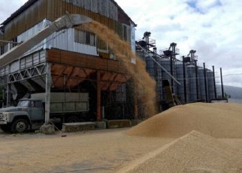 برنامه کاهش کمبود جهانی کود کلید خورد