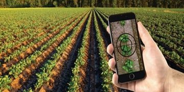 طرح ملی الگوی کشت فردا رونمایی می شود