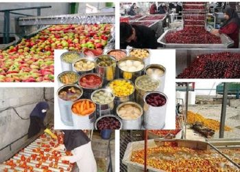 تحریم را ول کنید، خودتحریمی را بچسبید