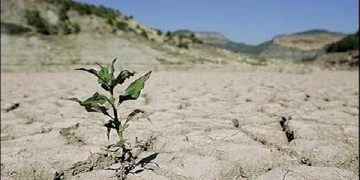 مدیریت منابع آب؛ تنها راه غلبه بر خشکسالی