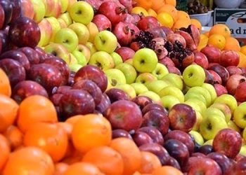 صادرات سیب و پرتقال محدود شد