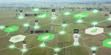 تحقق امنیت غذایی با توسعه کشاورزی هوشمند در کشور