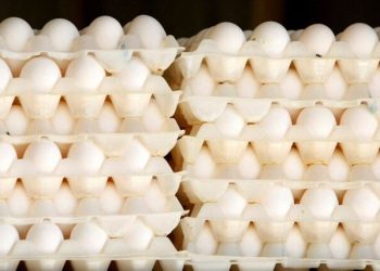 ریزش قیمت تخم‌مرغ در آمریکا مشروط شد