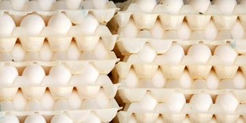 ریزش قیمت تخم‌مرغ در آمریکا مشروط شد