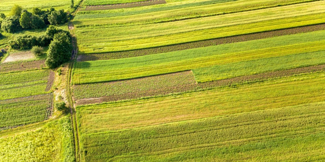امسال در بیش از ۵۵۰ هزار هکتار از اراضی کرمانشاه رفع تداخل انجام شد