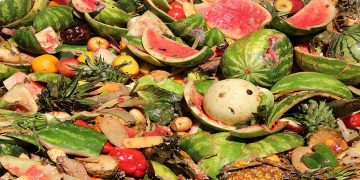 ۵۰ درصد محصولات کشاورزی کشور به ضایعات تبدیل می شود