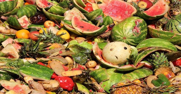 ۵۰ درصد محصولات کشاورزی کشور به ضایعات تبدیل می شود