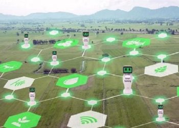 مدیریت کلان هوشمند جهت کشت و برآورد نیازها برای ۵ محصول استراتژیک