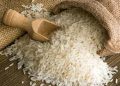 واردات بی رویه برنج را روی دست کشاورزان باقی گذاشت