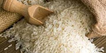 واردات بی رویه برنج را روی دست کشاورزان باقی گذاشت