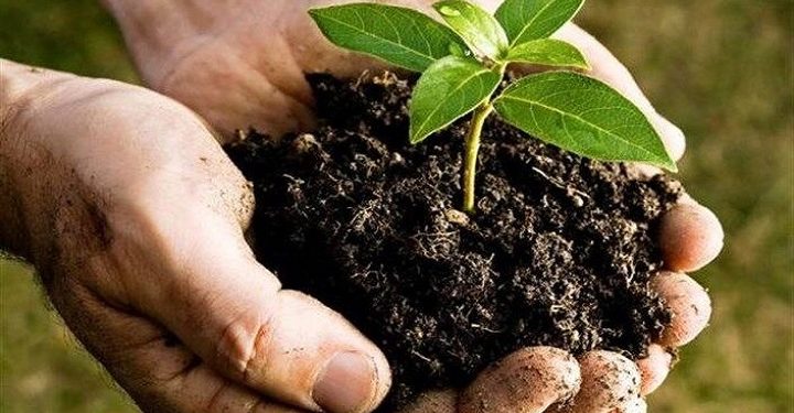 زنان ایرانی گوی سبقت را در تولید محصولات غذایی سالم از مردان ربودند