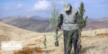 کاشت ۴۰ میلیون اصله نهال در هفته منابع طبیعی